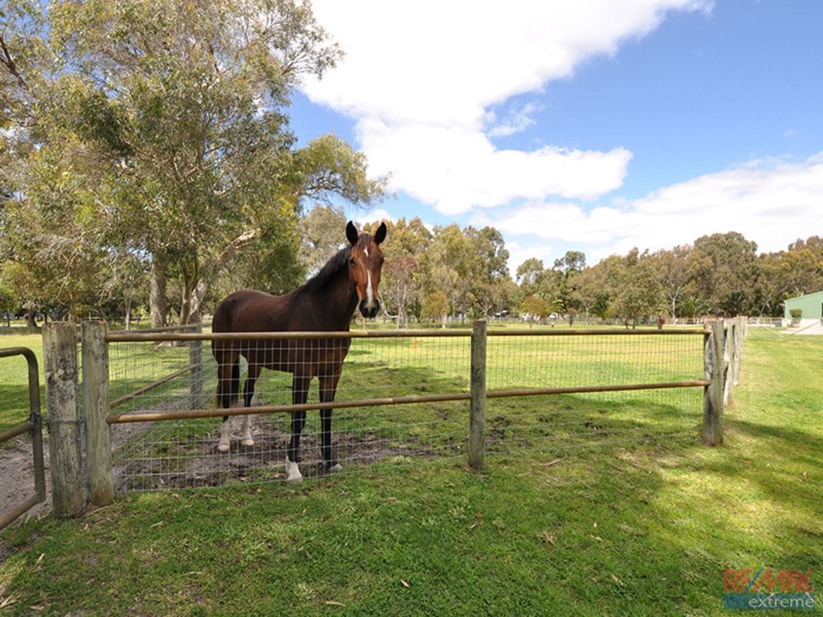 81 Conductor Retreat, Mariginiup WA 6078, Image 1