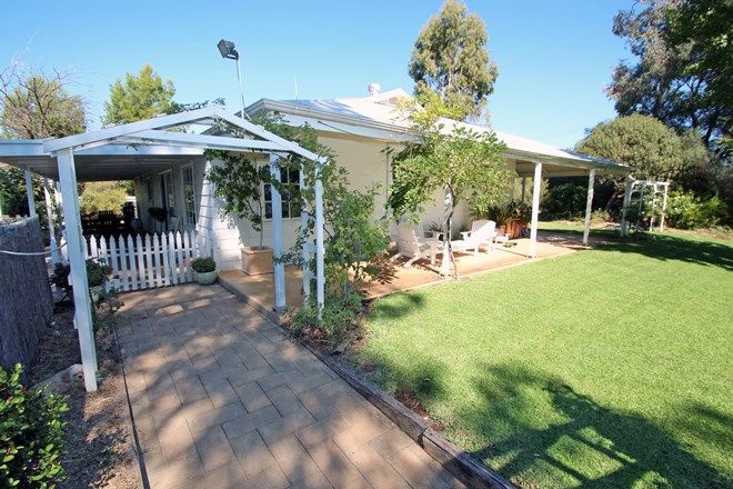 Picture of 589 Chowilla Street, RENMARK SA 5341