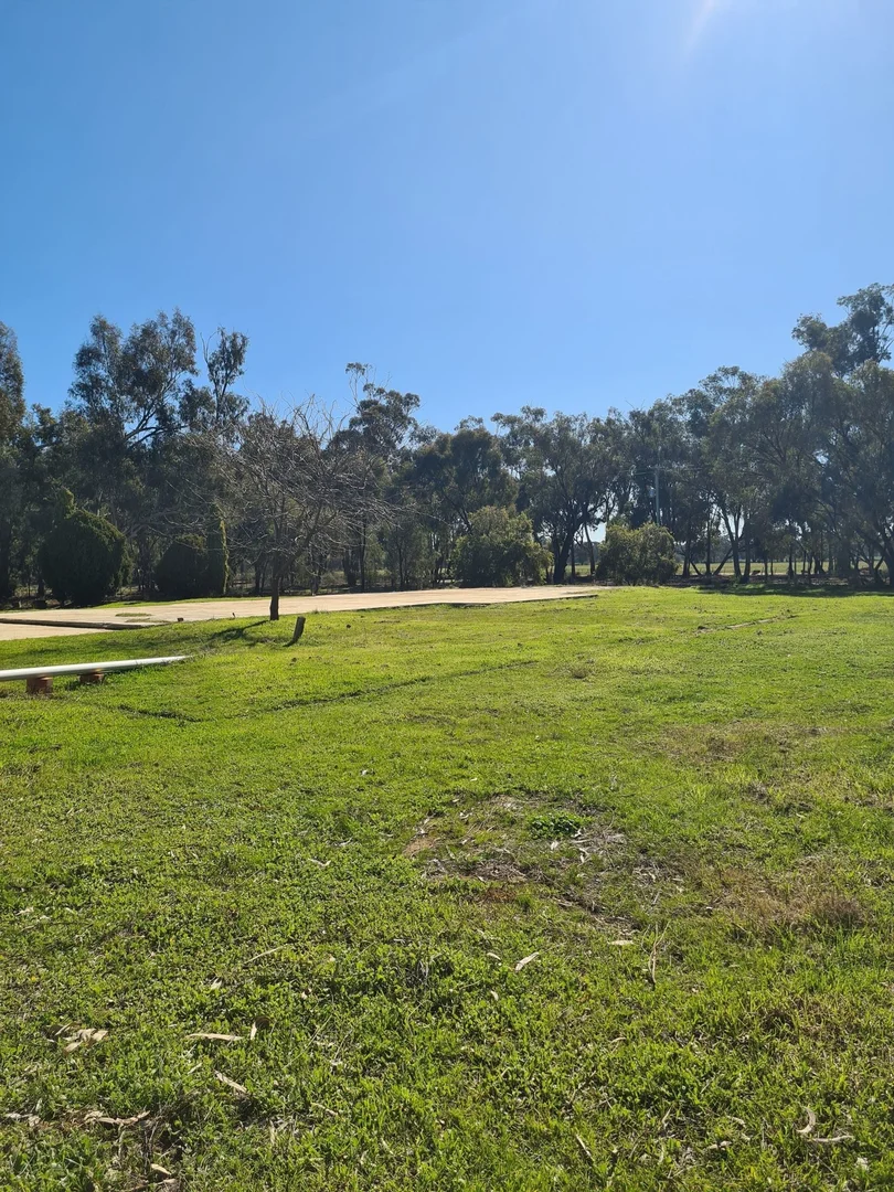 Image 15