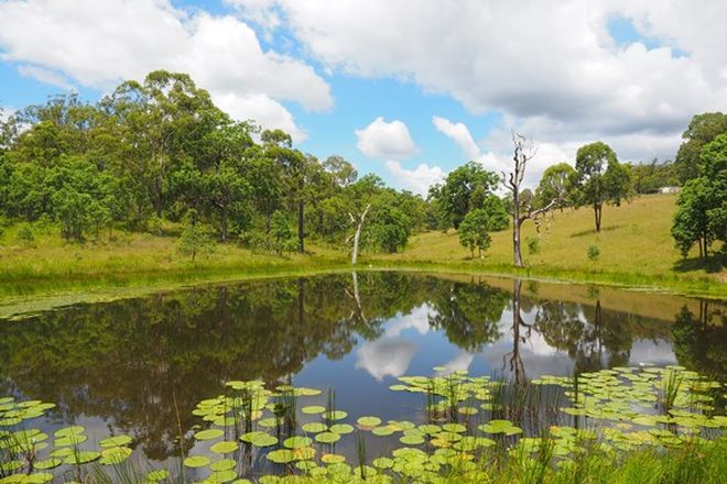 Picture of 1649 Willi Willi Road, TEMAGOG NSW 2440