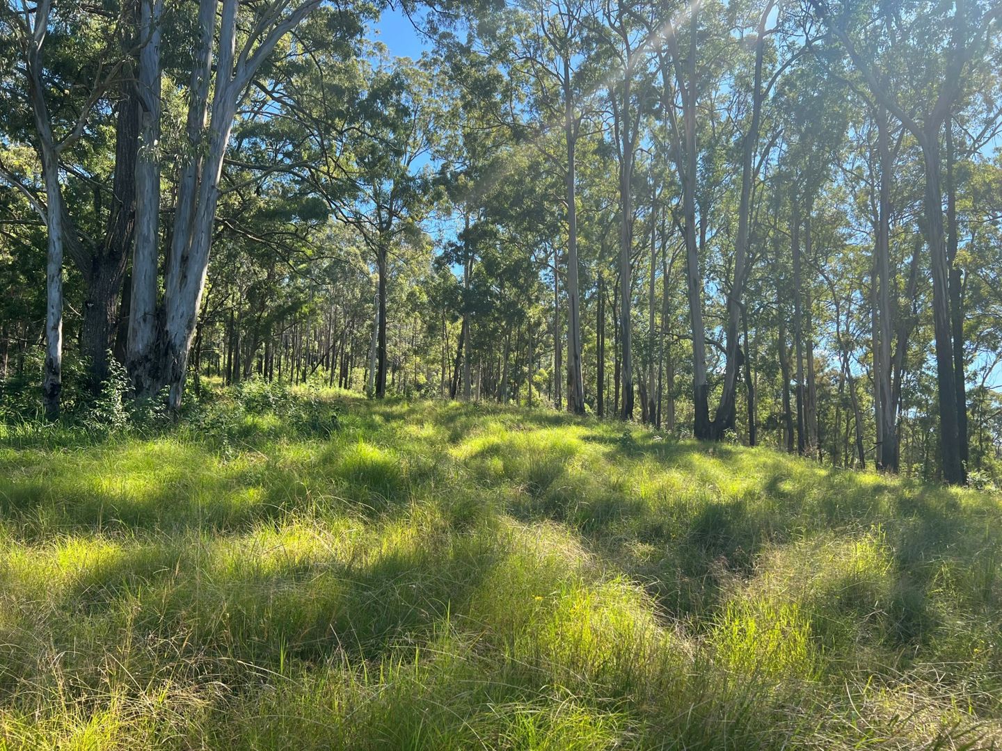 Wherrol Flat NSW 2429, Image 1