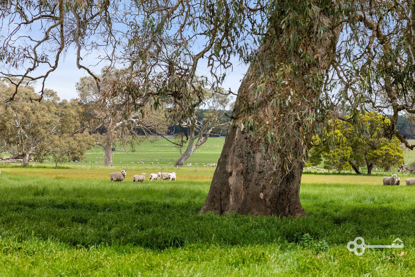 Rural in Lot 784 Lake Leake Road, KALANGADOO SA, 5278