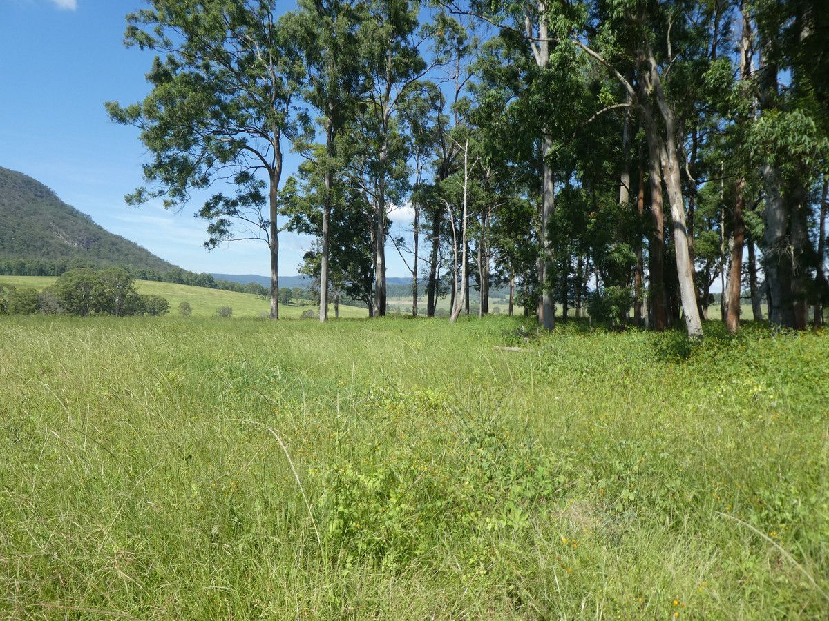 317A Urbenville Road, Urbenville NSW 2475, Image 1