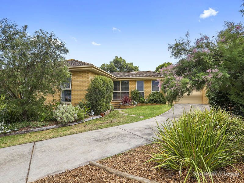 6 Corriedale Court, Belmont VIC 3216, Image 0