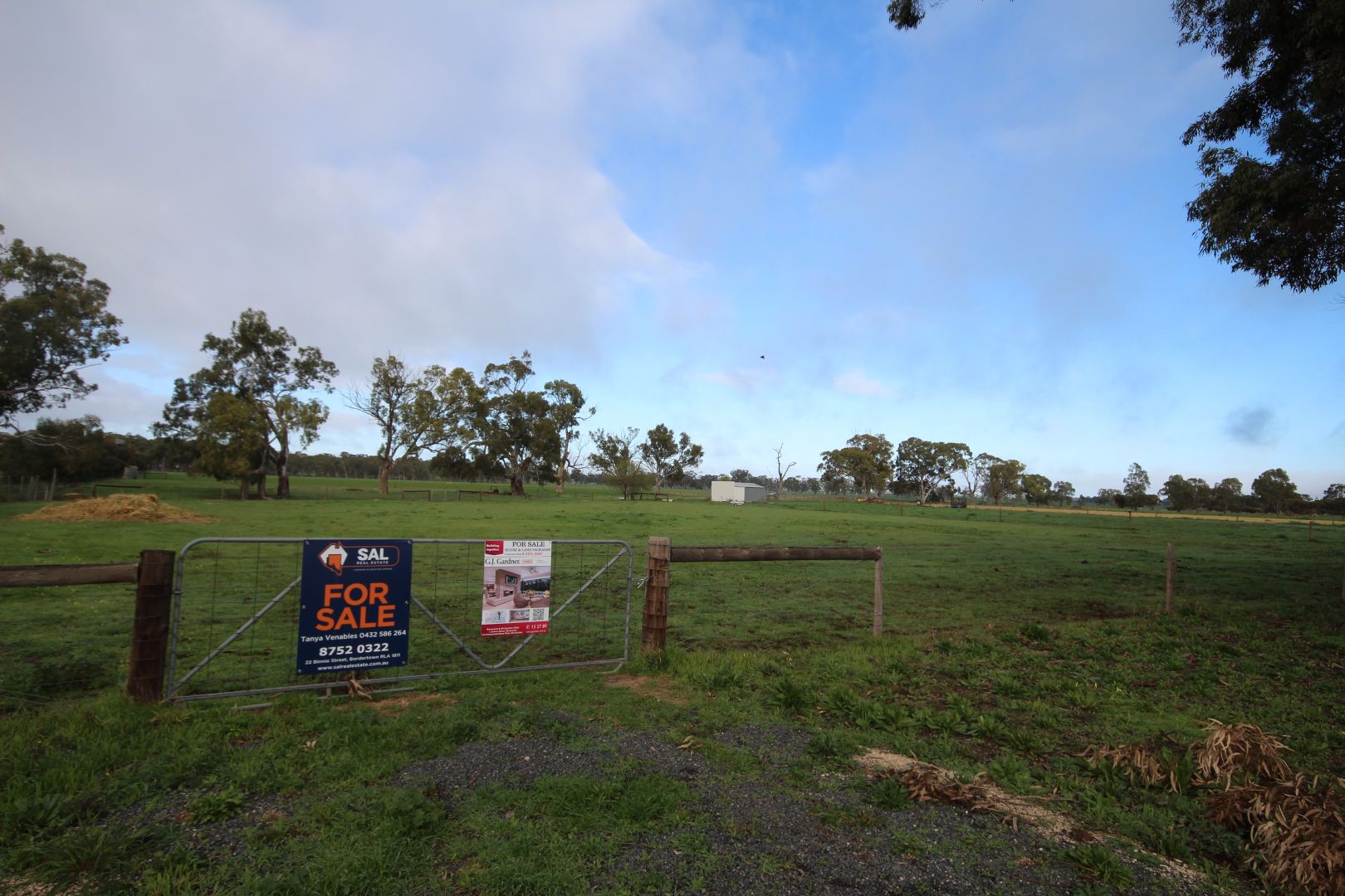 Lot 38 South Avenue, Bordertown SA 5268, Image 1