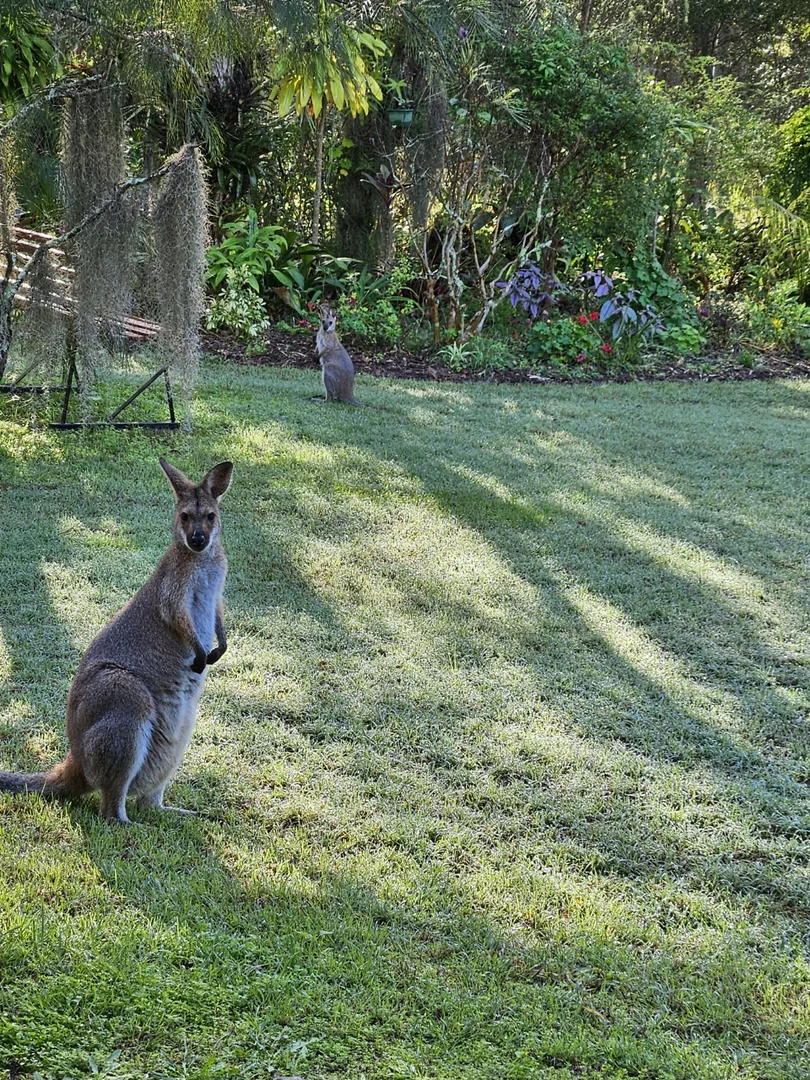Image 30