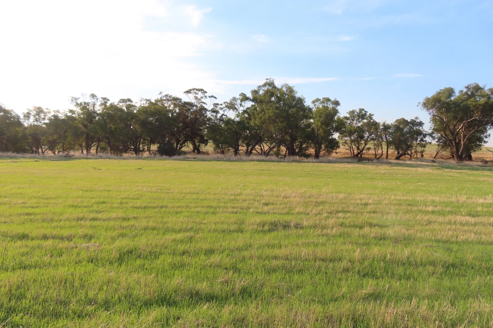 Additional image 3 of Lot 11 Barndon Street, Spencers Brook WA 6401