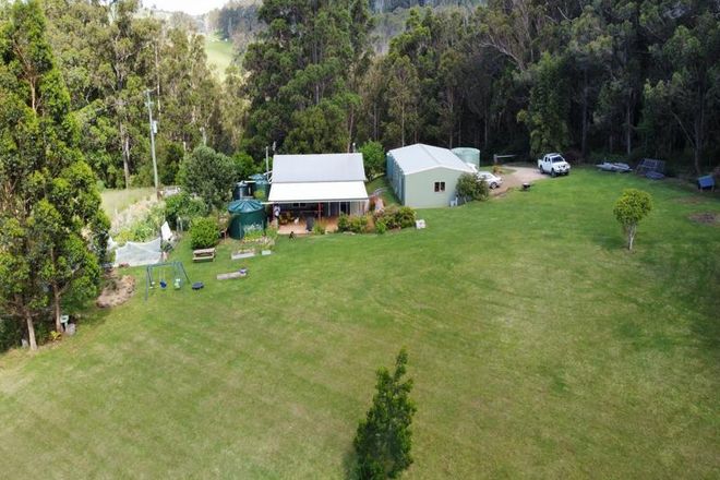 Picture of 673 Acacia Scrub Road, LEGUME NSW 2476