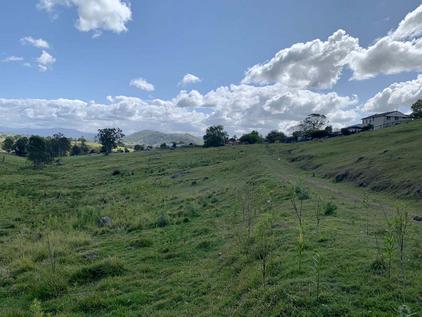 Lot 188 Mackay Street, Dungog NSW 2420, Image 1