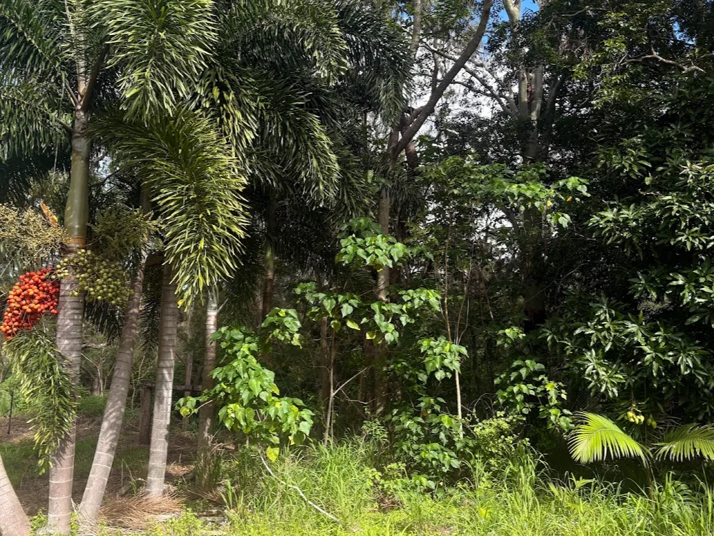 Image 12