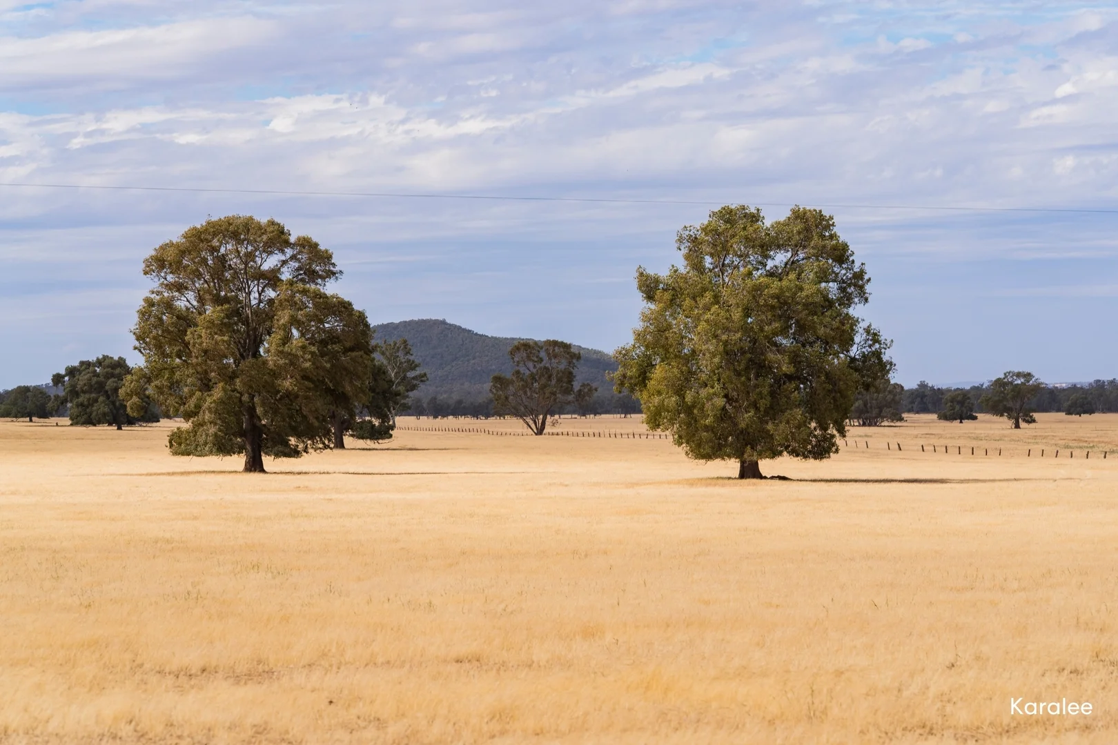 Additional image 23 of Kamarah Road, Narrandera NSW 2700