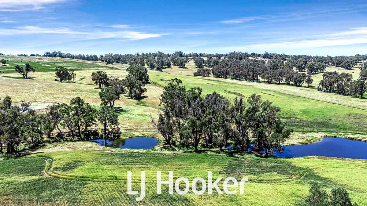 1 on DP 426021 Bridgetown - Boyup Brook Road, Boyup Brook WA 6244