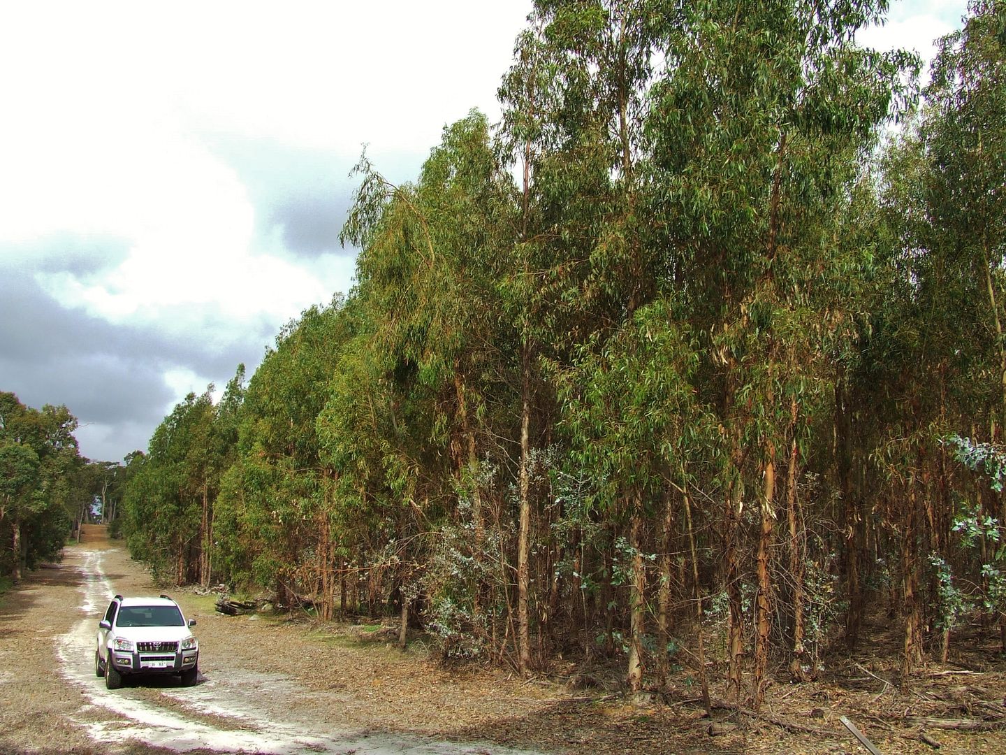 Lot 73 Chapman Hill Road, Chapman Hill WA 6280, Image 2