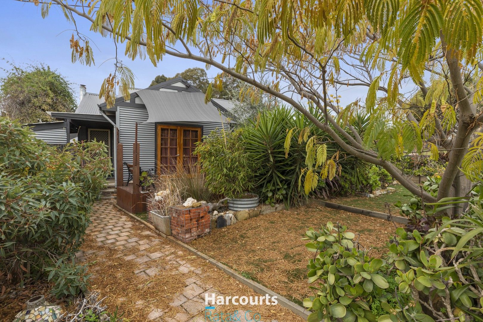 16 Thistle Street, Bendigo VIC 3550 House For Rent Domain