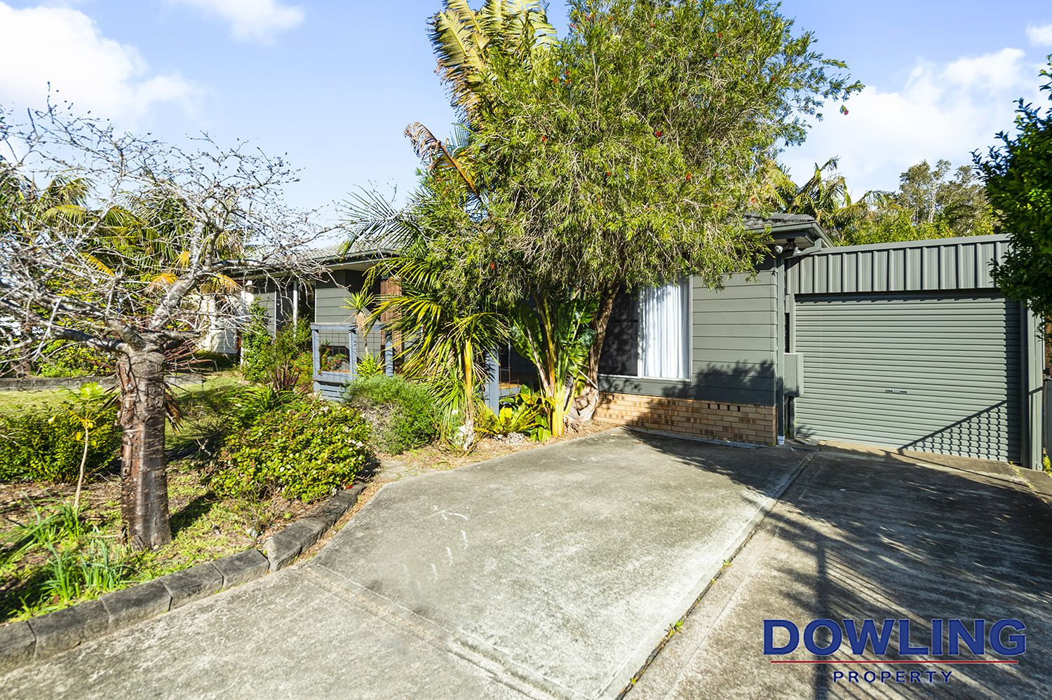 16 Tea Tree Drive, Medowie NSW 2318, Image 1