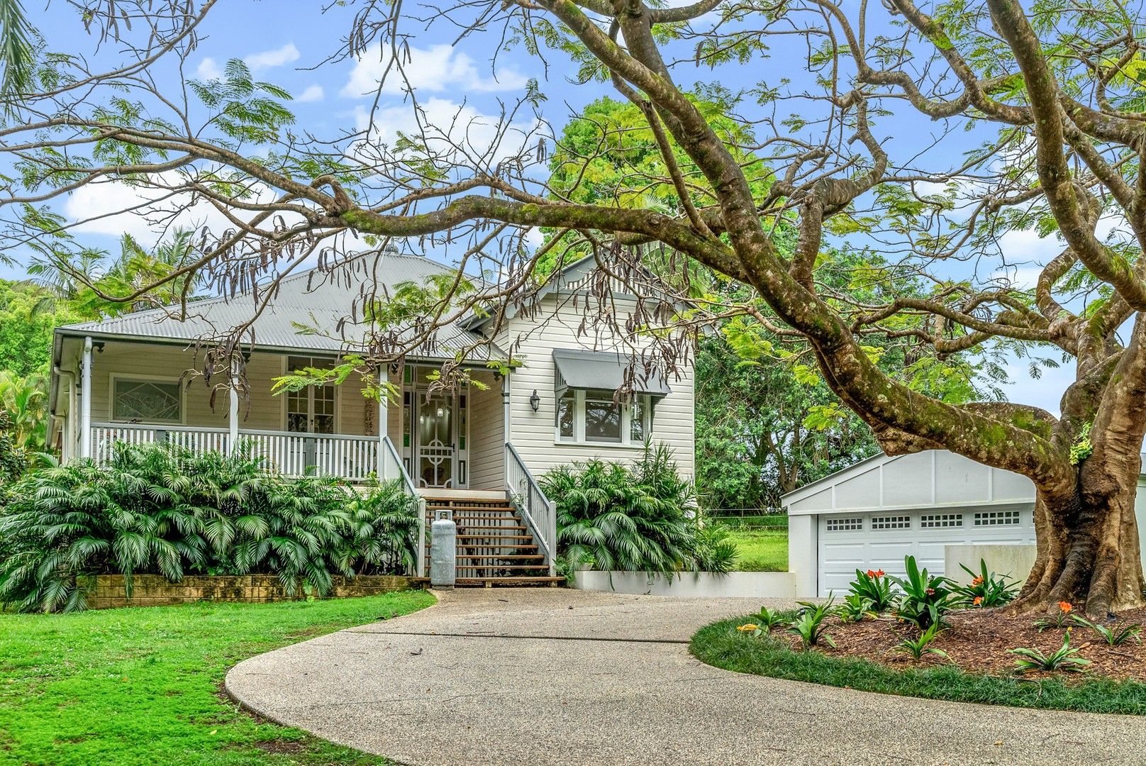 58 Parkway Drive, Byron Bay NSW 2481 House For Rent Domain