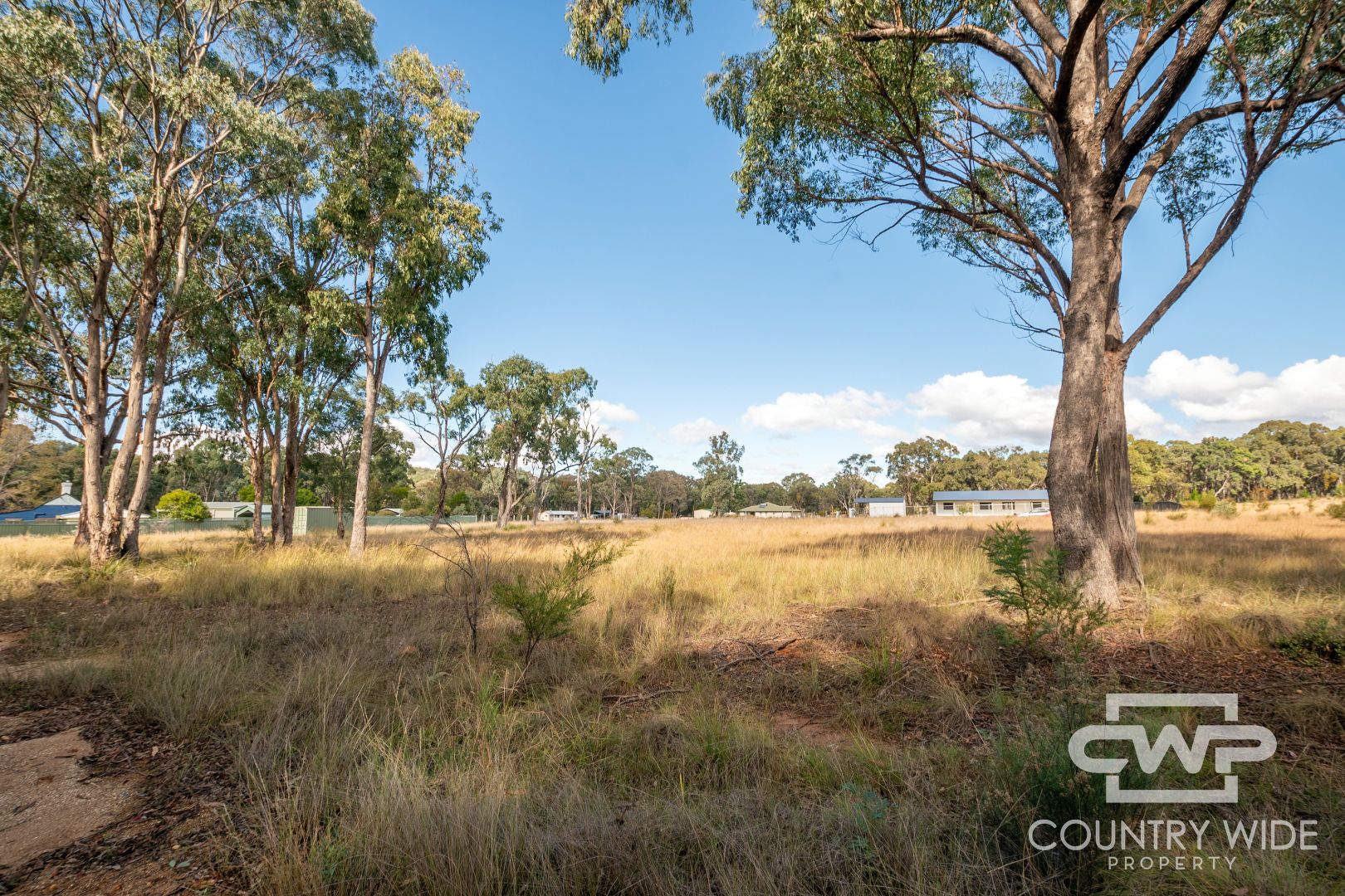 24 Marshall Way, Emmaville NSW 2371, Image 2