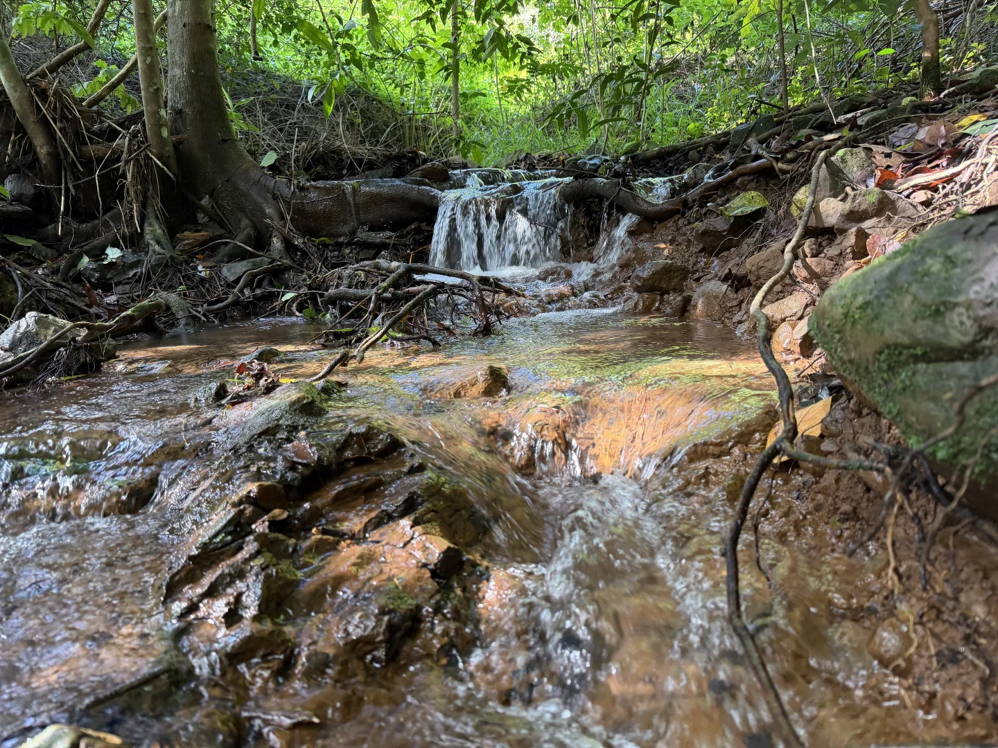 Additional image 26 of 394 Western Avenue, Montville QLD 4560