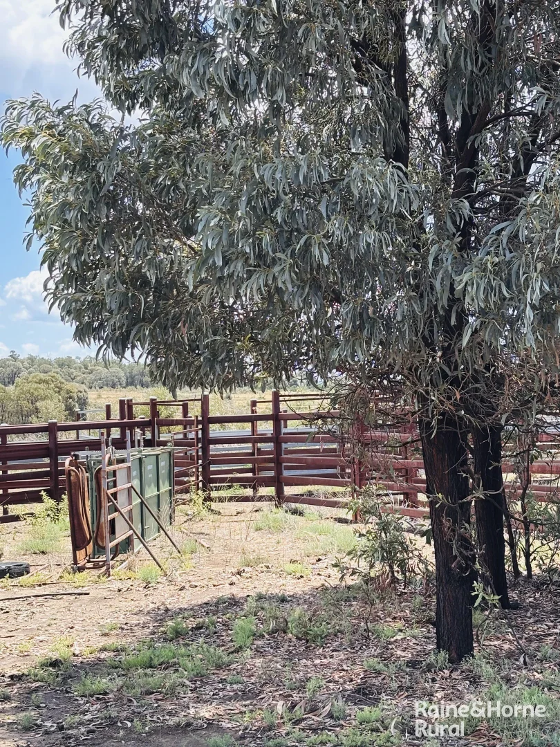 Image 15