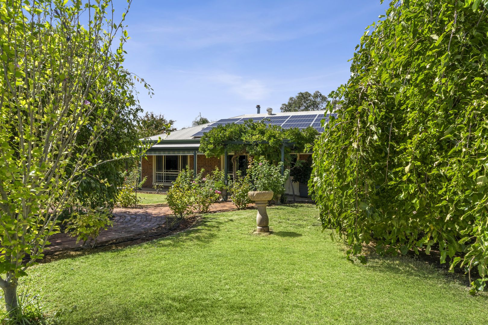 1 Shepherd Drive, Paringa SA 5340 Domain