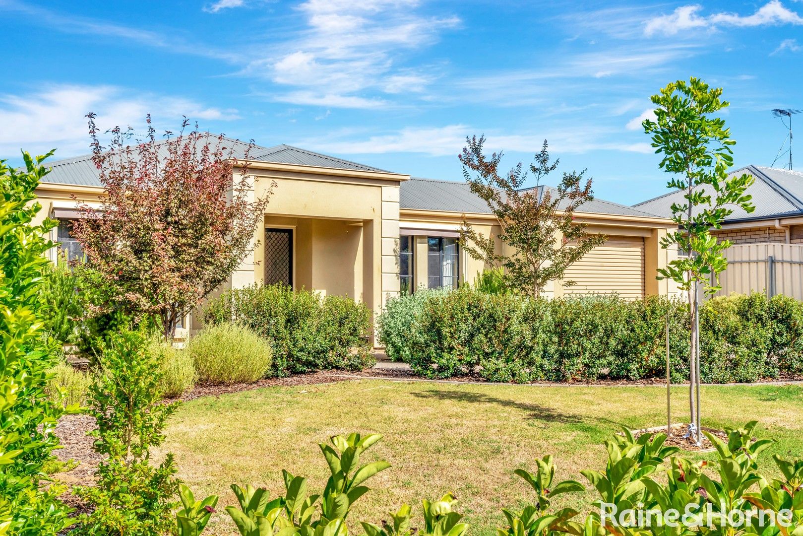 23 Catt Drive, Strathalbyn SA 5255, Image 0