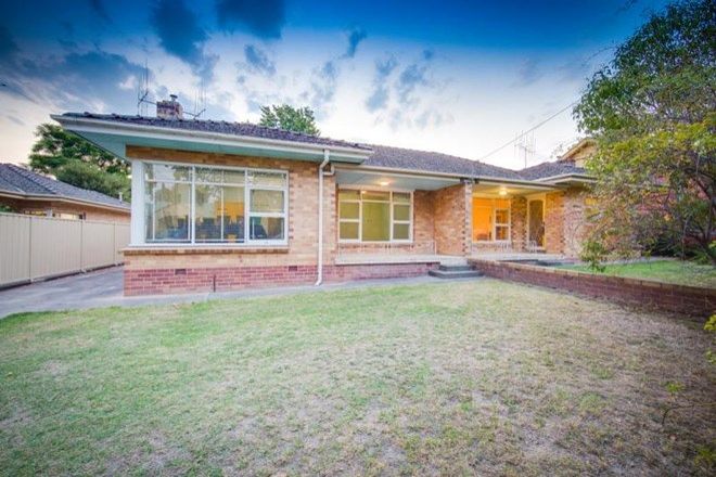 Picture of 673 & 675 Macauley Street, ALBURY NSW 2640