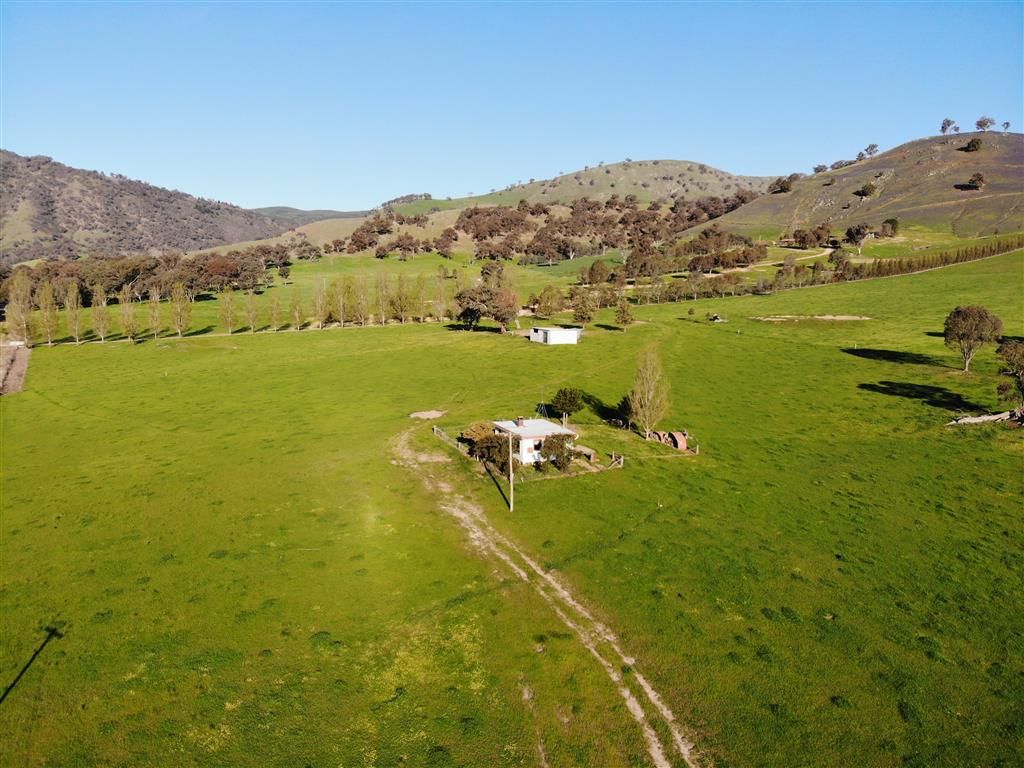 920 Bombowlee Creek Road, Tumut NSW 2720, Image 0