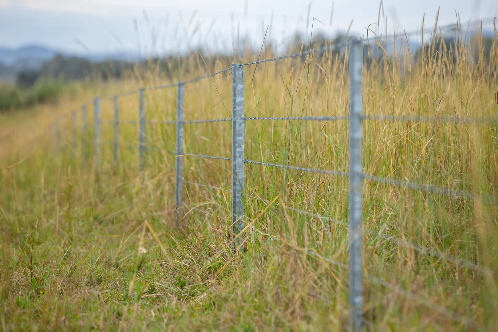 Additional image 19 of 58 Boormans Lane, Grafton NSW 2460