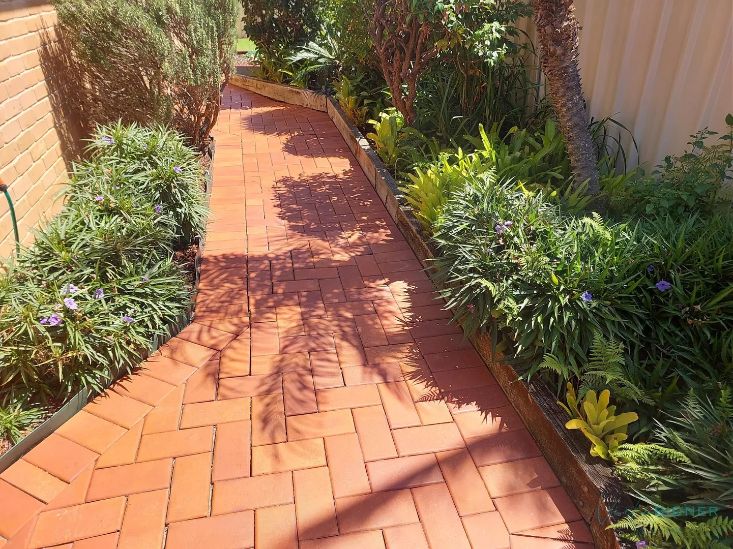 Image 15