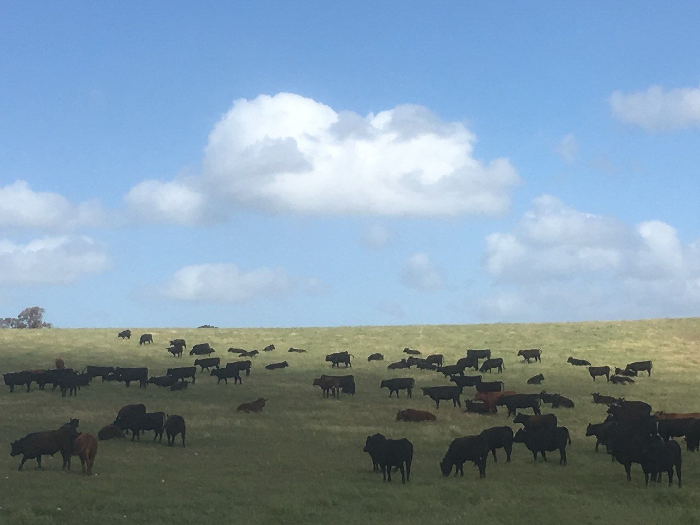 Lot 653 (Charlie's) Siebers Road, Kapunda SA 5373, Image 0