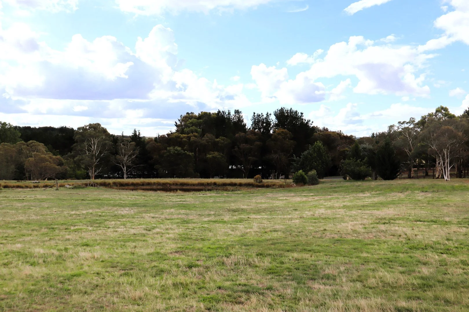 Image 35