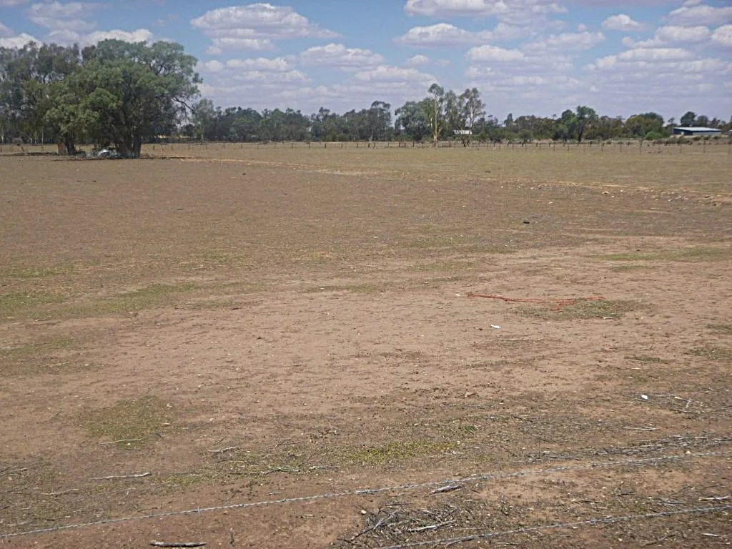 Additional image 3 of 785 Curlew Road, Lake Cargelligo NSW 2672