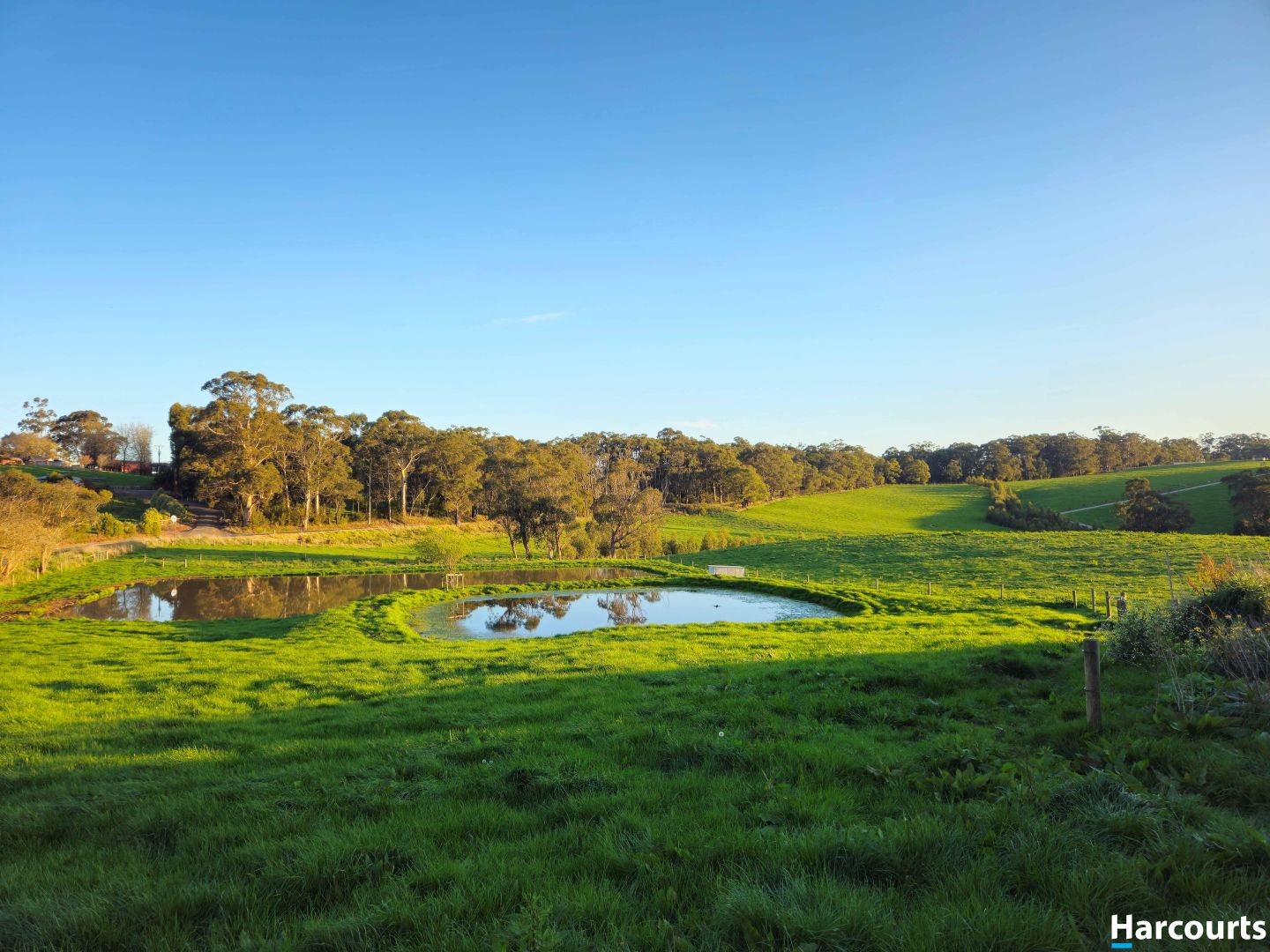 13 bs Road, Shady Creek VIC 3821 House for Sale Domain