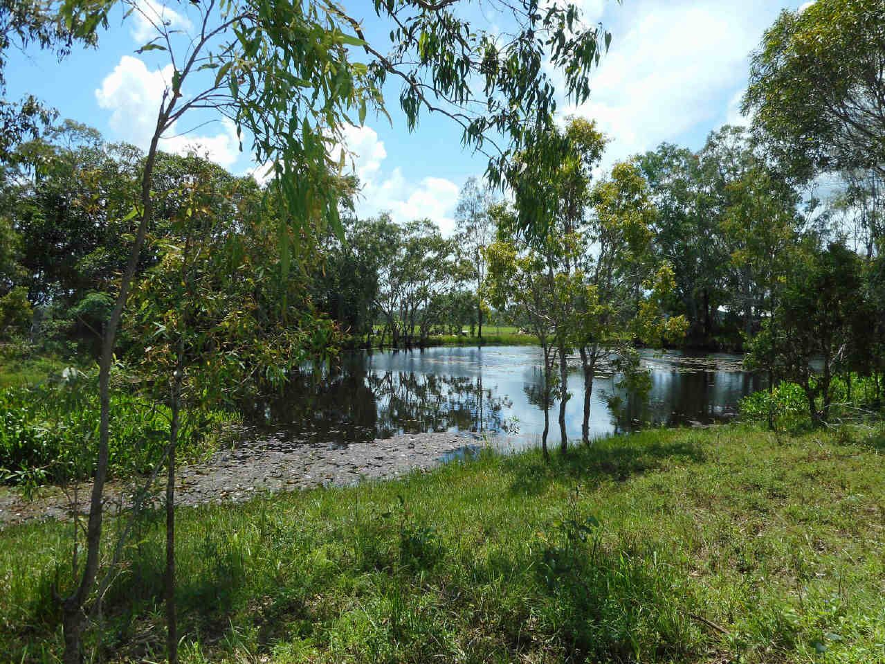 150 OLD HILLSBOROUGH RD, Cape Hillsborough QLD 4740, Image 0