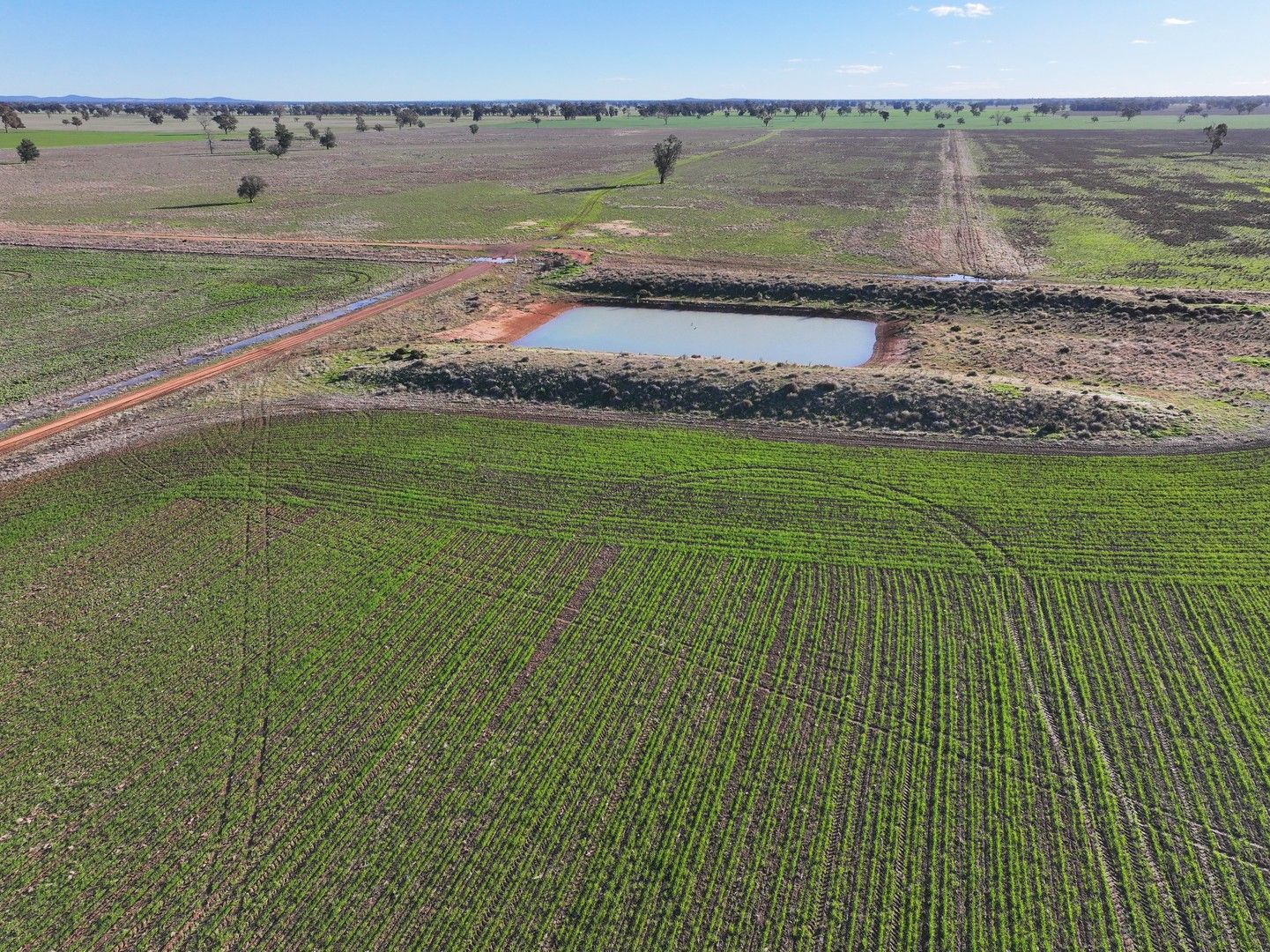 Farm in 377/Troths Lane, QUANDIALLA NSW, 2721