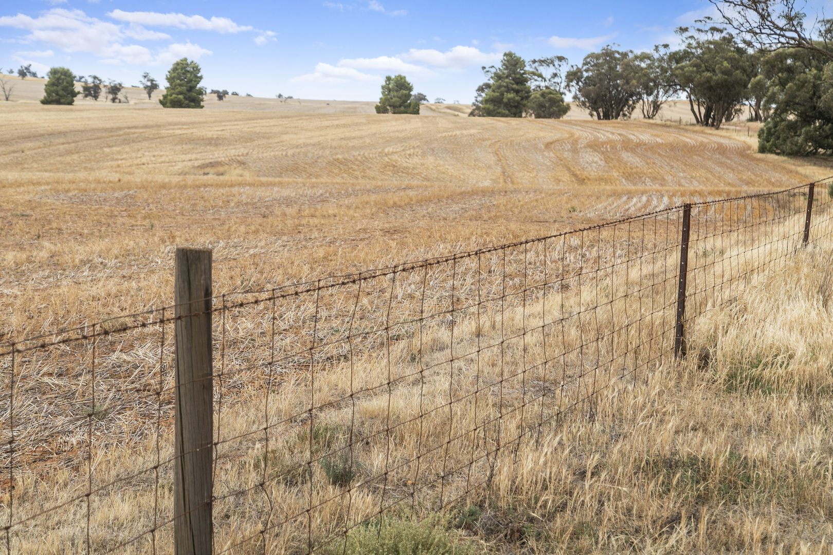 'Spiders' Gebhardt Road, Wirrabara SA 5481 Specialist Farm for Sale