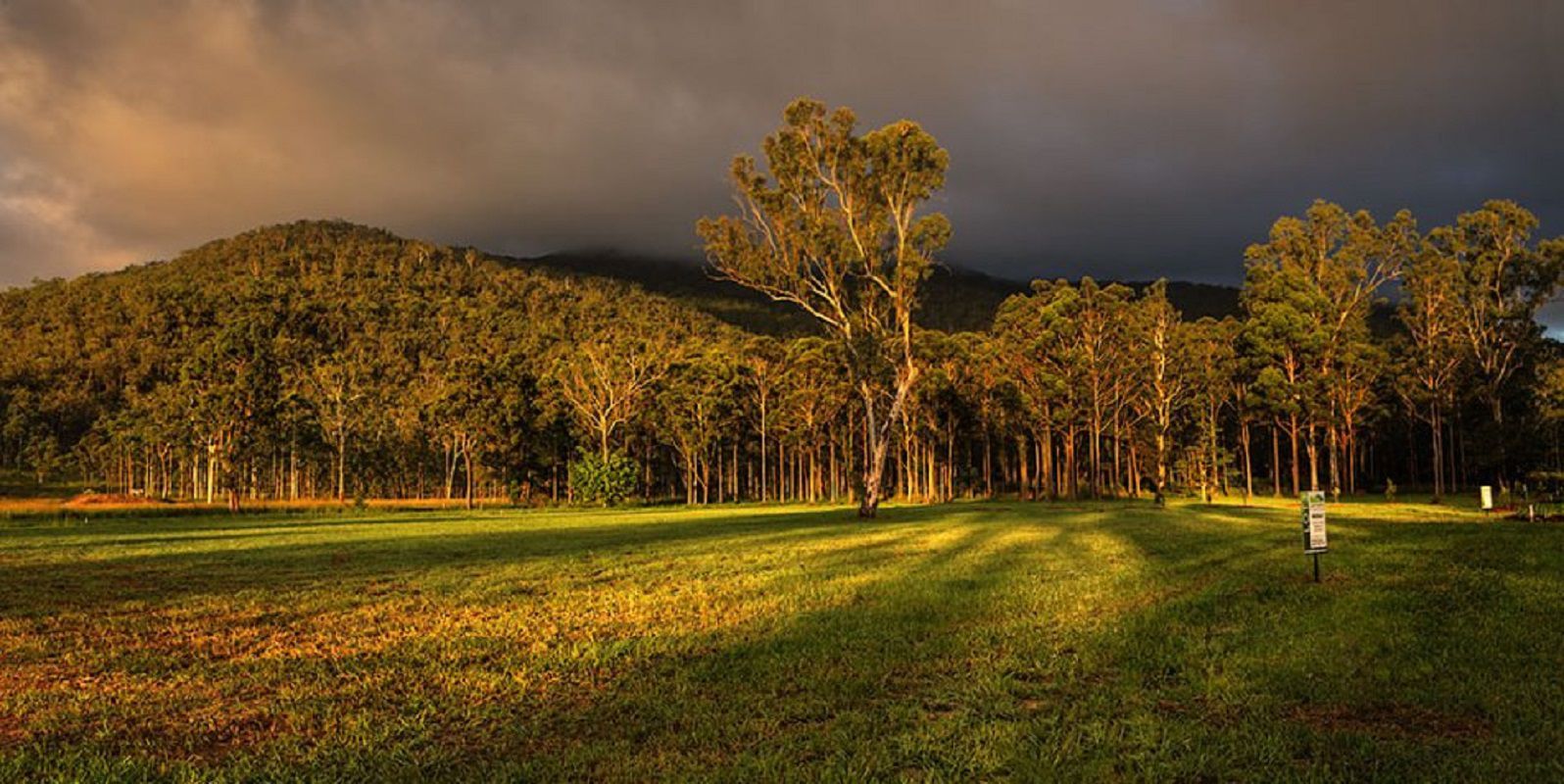 Carrington QLD 4883, Image 0