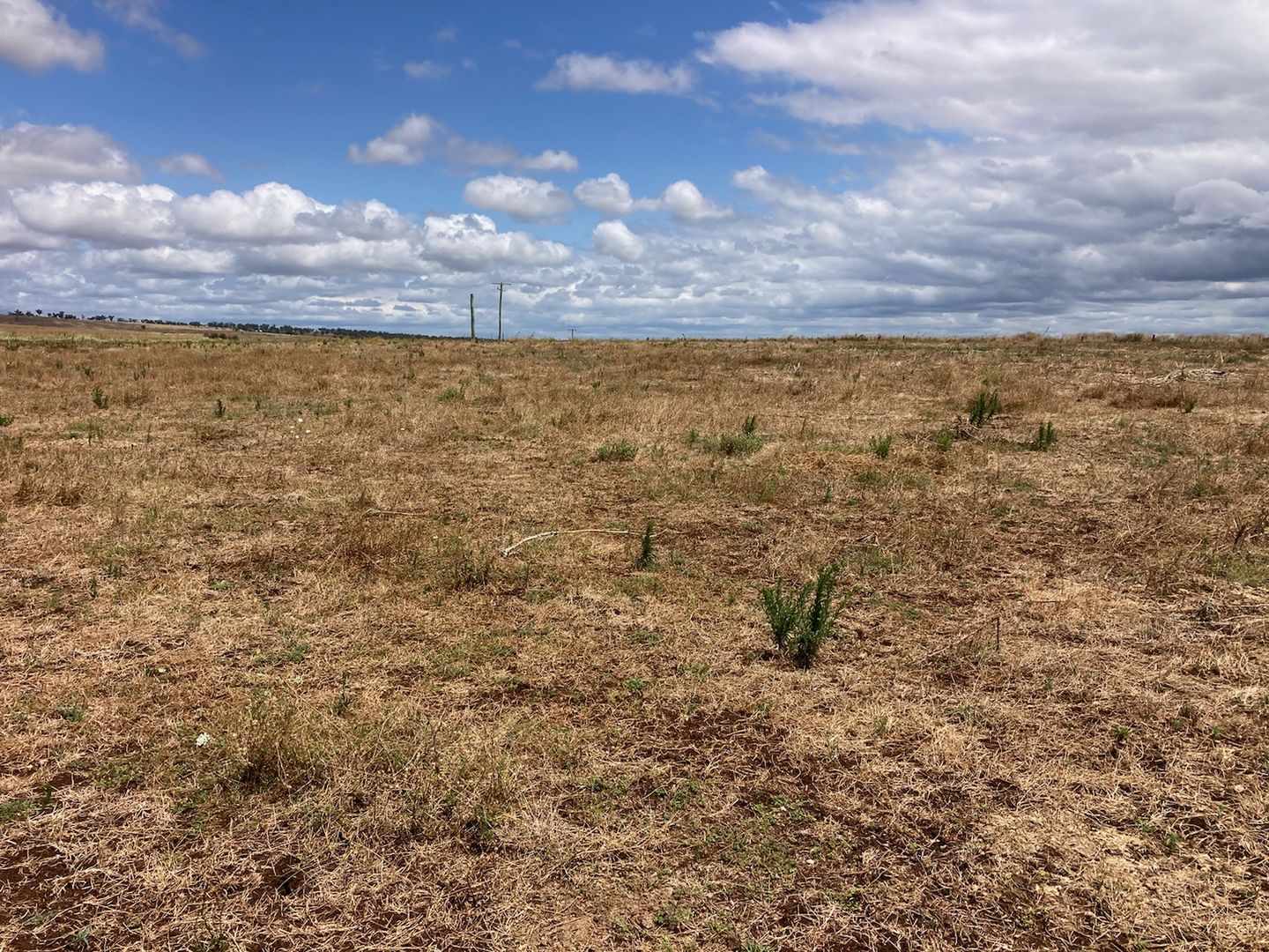 32, 6201 Scone Road, Merriwa NSW 2329 Vacant Land for Sale Domain