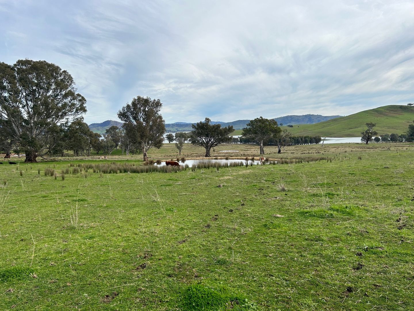 Lots 1-2 TP668245 Lake Road, Bethanga VIC 3691, Image 2