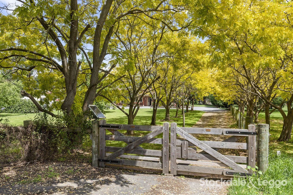 141145 Collins Street, Drysdale VIC 3222 Domain