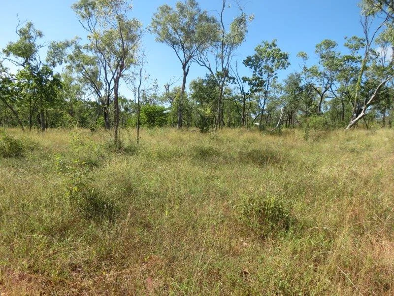 Image 20