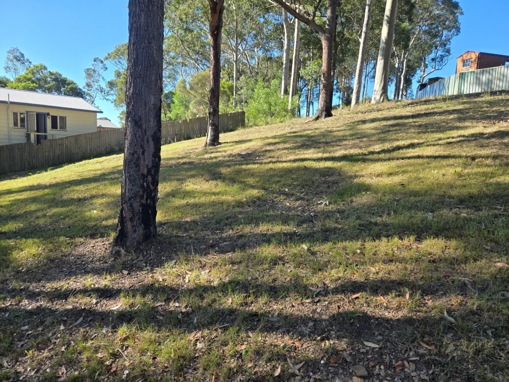 Image 8