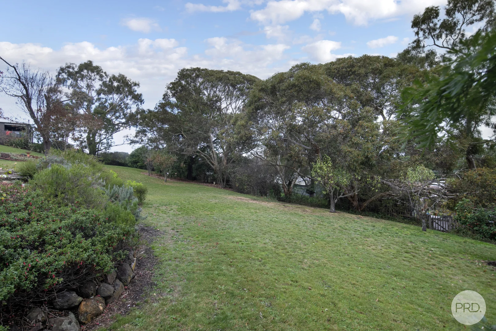 Image 22