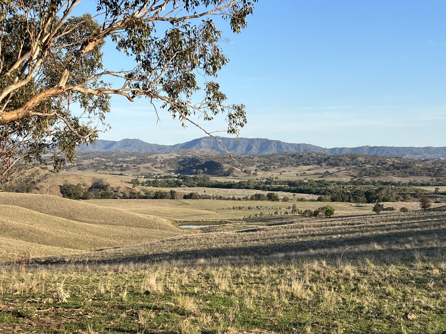 227 Miranee Rd, Gundy NSW 2337 House for Sale Domain