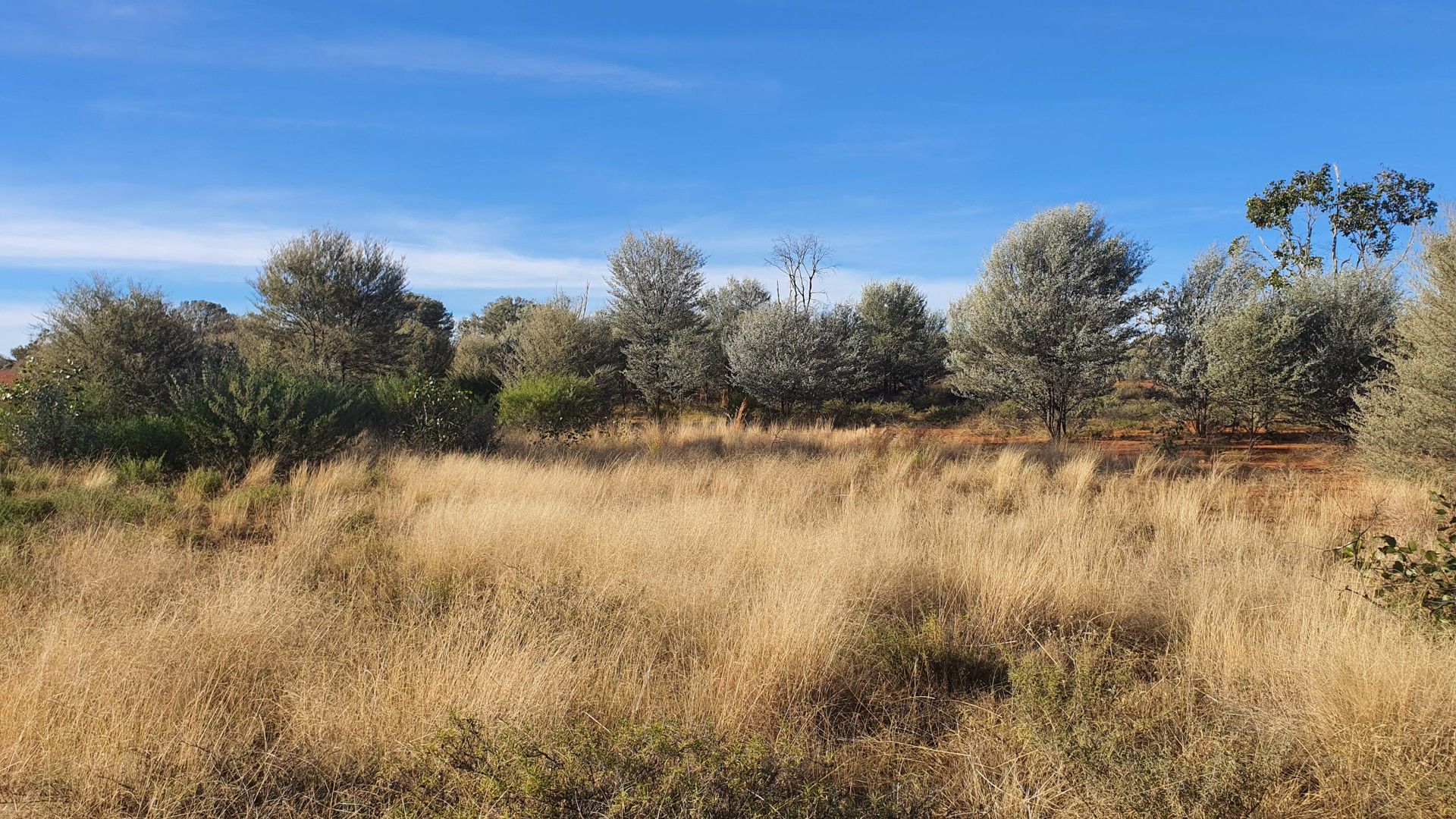 5744 Humeburn Road, Cunnamulla QLD 4490, Image 0