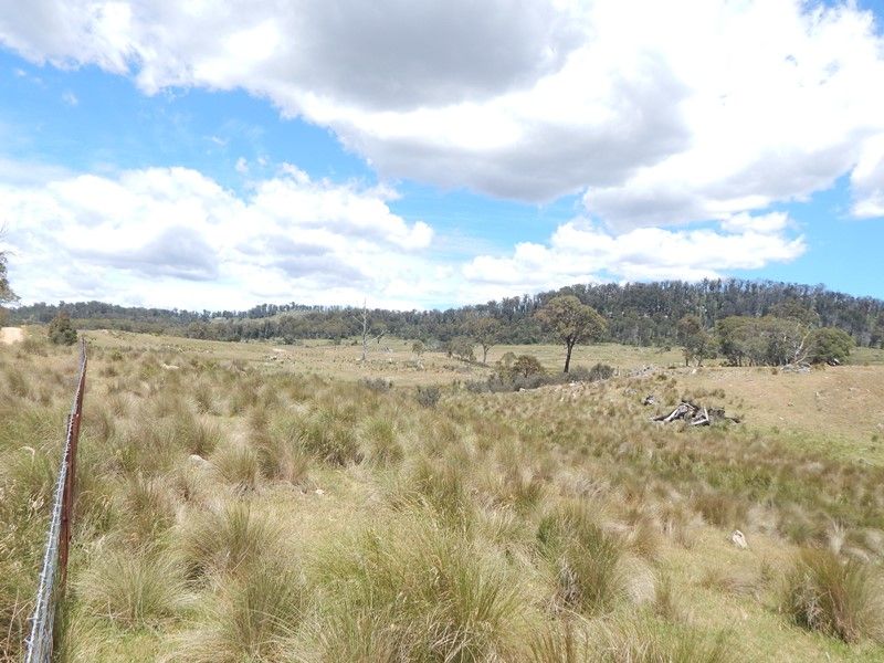 Lot 5 Tuross Road, Kybeyan NSW 2631, Image 1