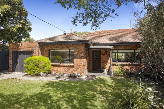 Picture of 24A Bridge Street, HAMPTON VIC 3188