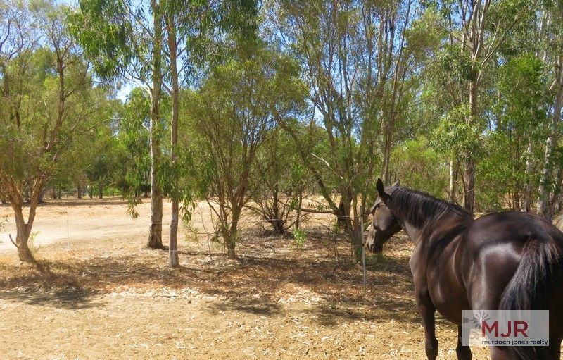 Lot 49 Comic Court Circuit, Darling Downs WA 6122, Image 1