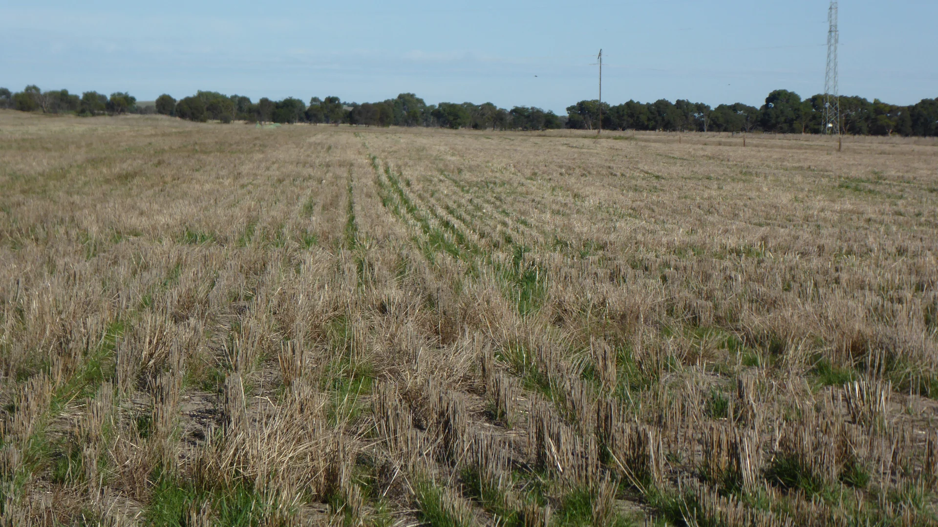 Image 10