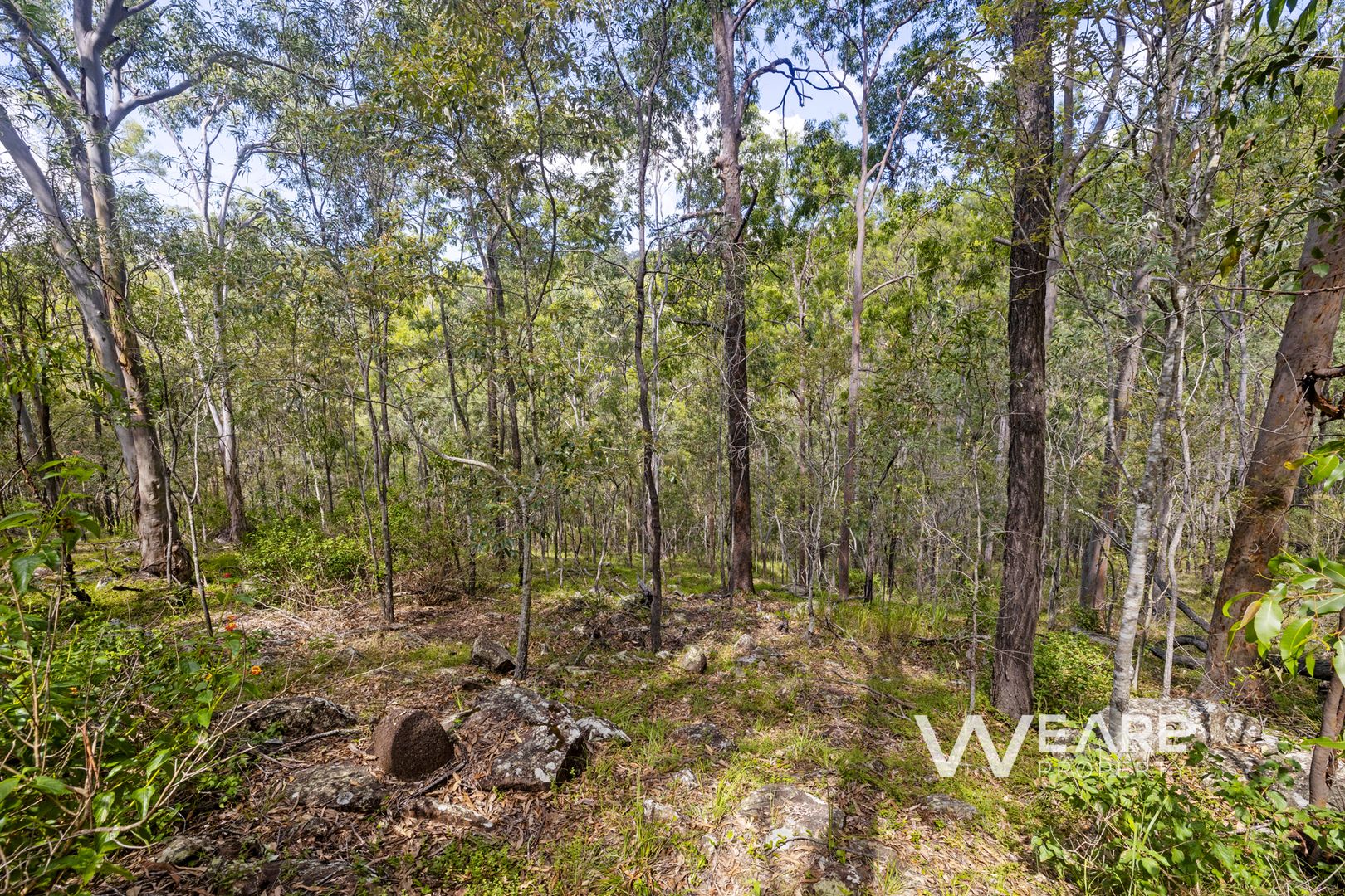 154 Mcdonald Road, Jimboomba QLD 4280, Image 2